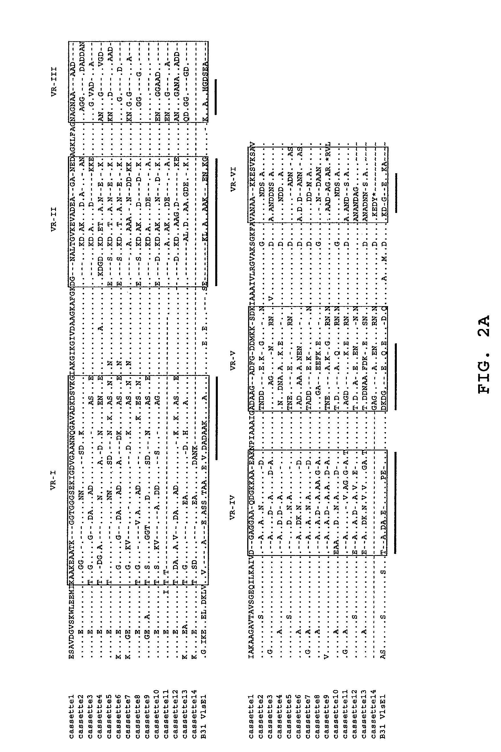 VMP-like sequences of pathogenic Borrelia species and strains