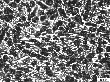 An improved high chromium ferroroller with tungsten modification treatment