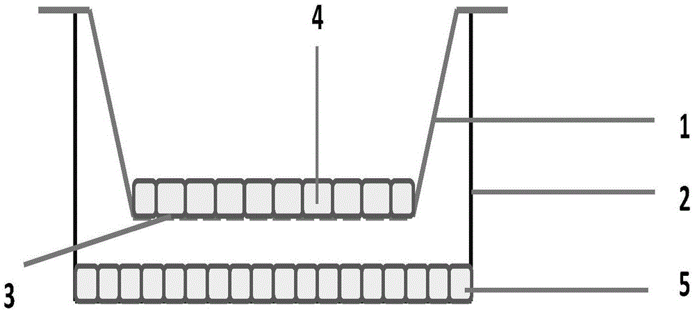 Joint evaluation model for human-body bioavailability and toxicity of lead in food