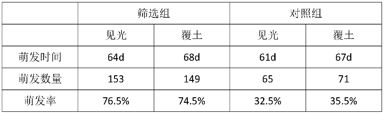 Rapid germination method of aconitum brachypodum var.laxiflorum seeds