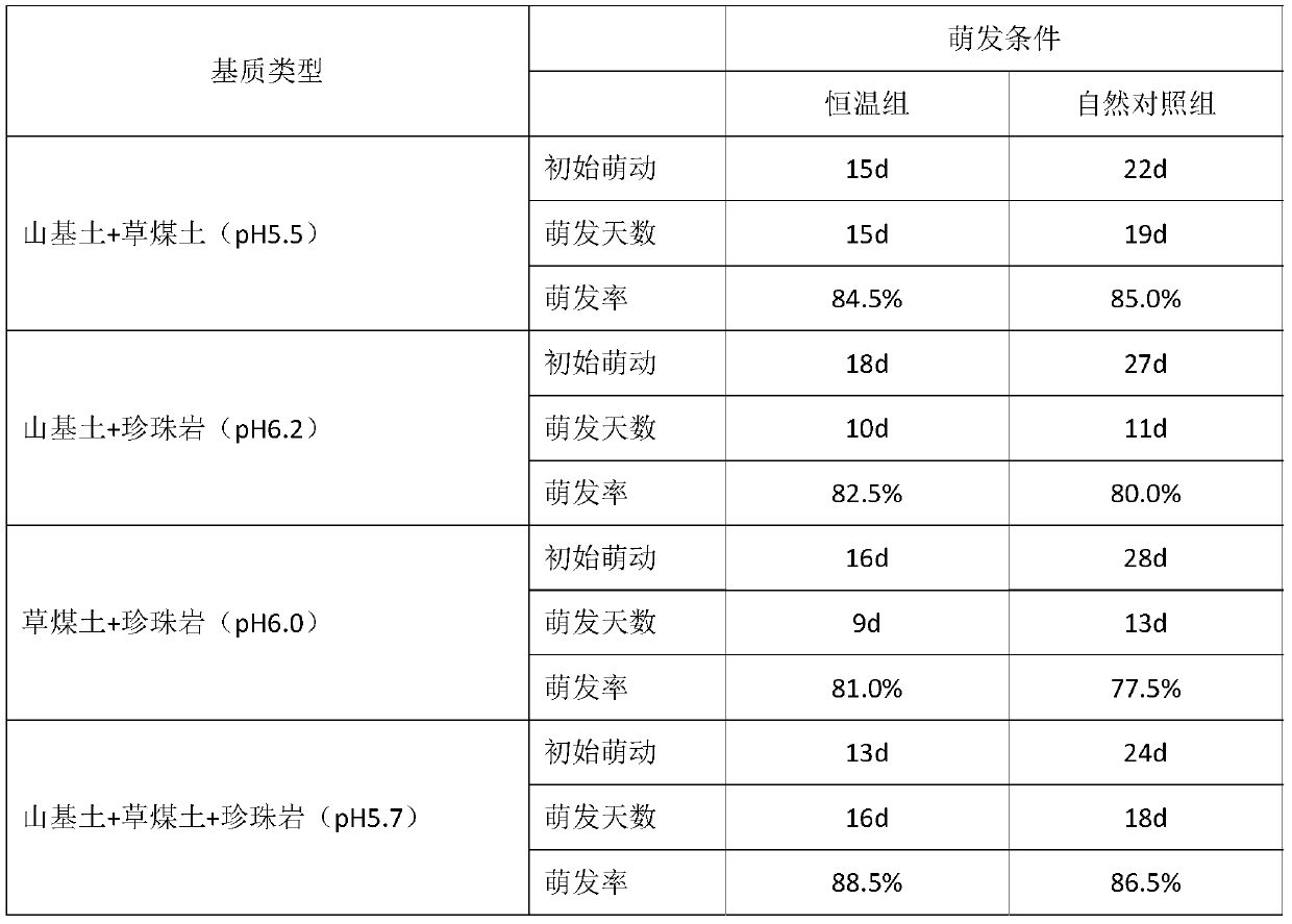 Rapid germination method of aconitum brachypodum var.laxiflorum seeds