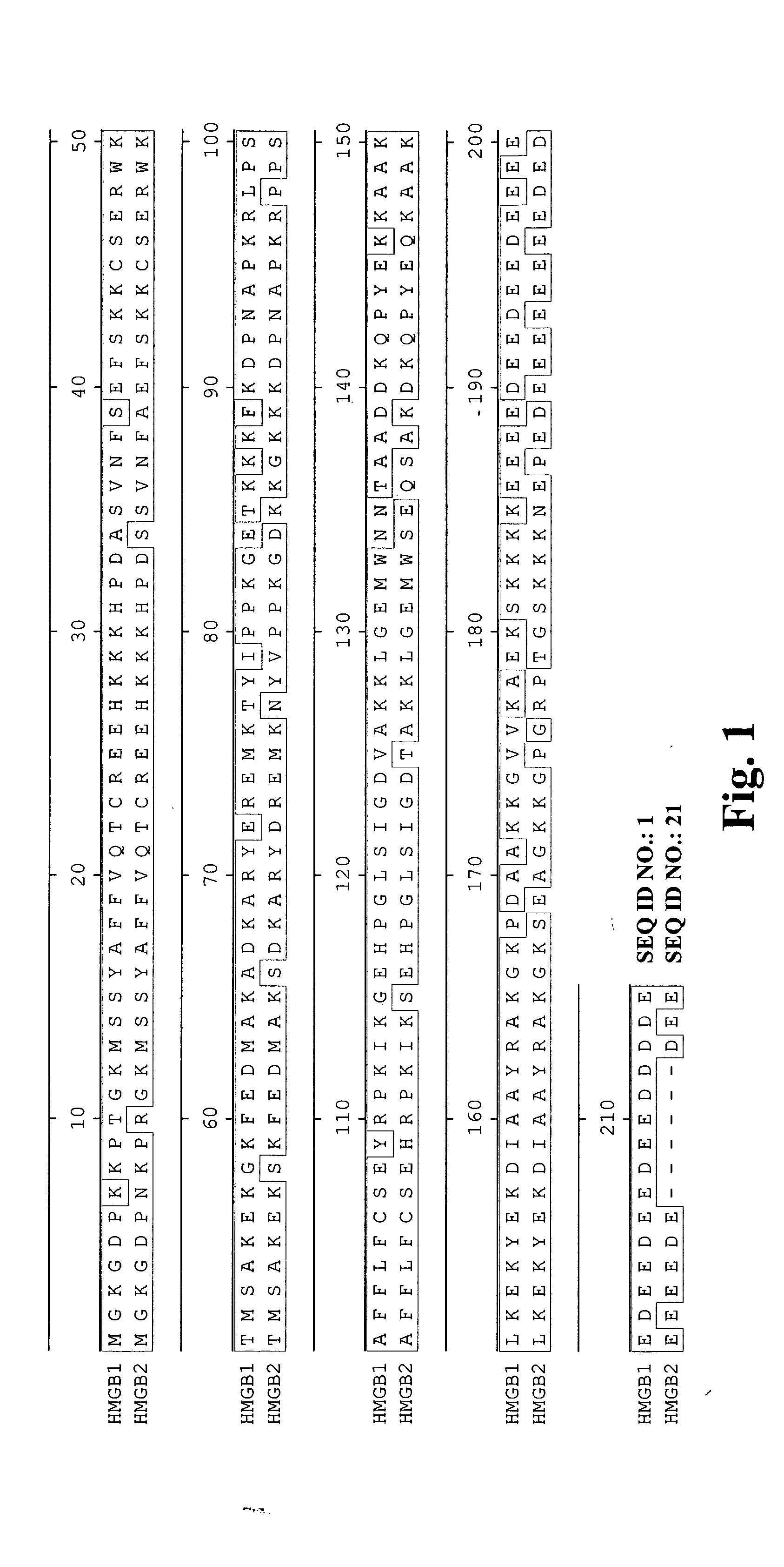 High affinity antibodies against HMGB1 and methods of use thereof