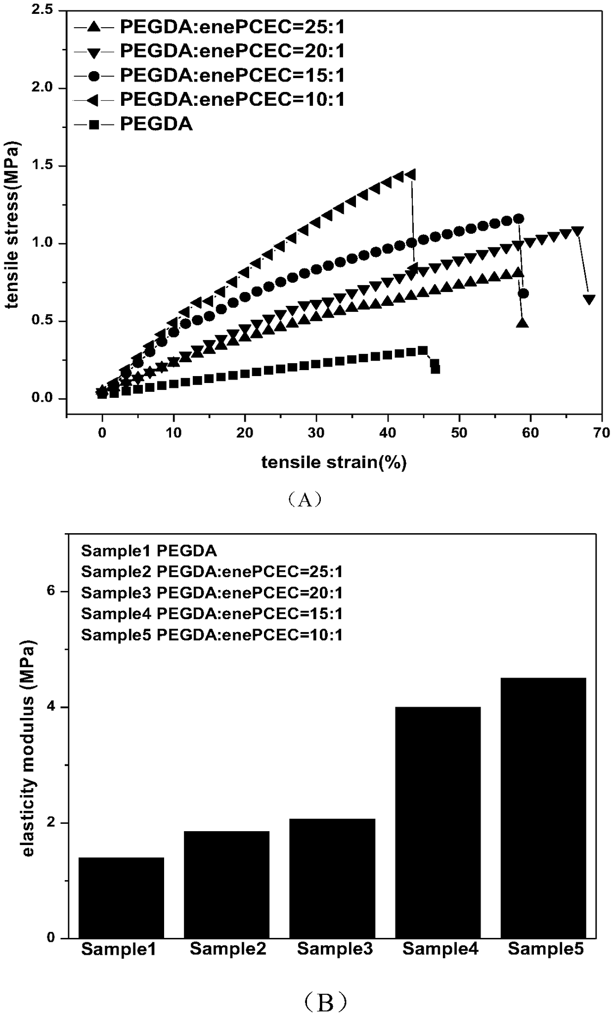 Preparation method of novel biodegradable rapid light curing molding material