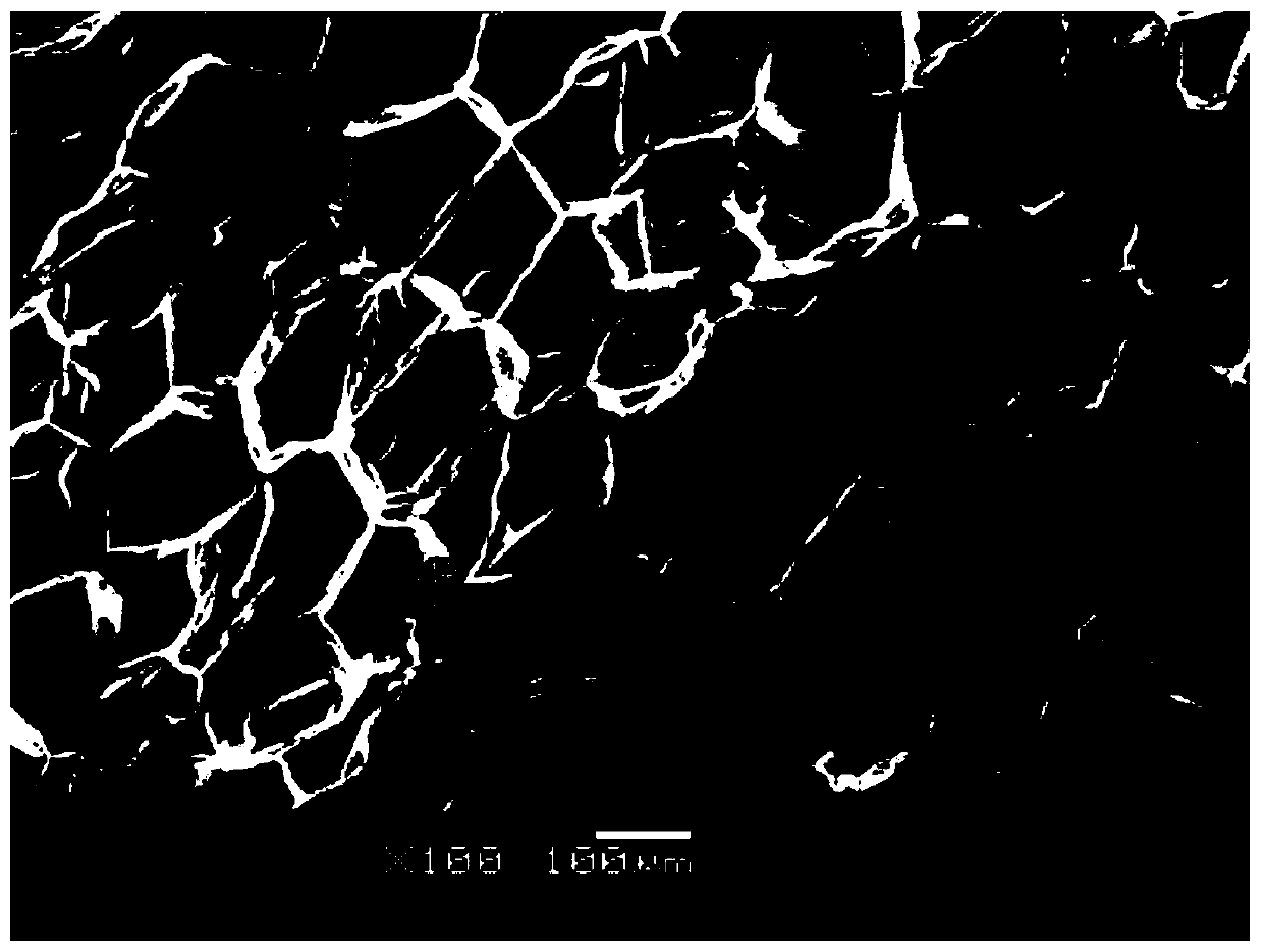 Supercritical fluid foaming method for polypropylene material