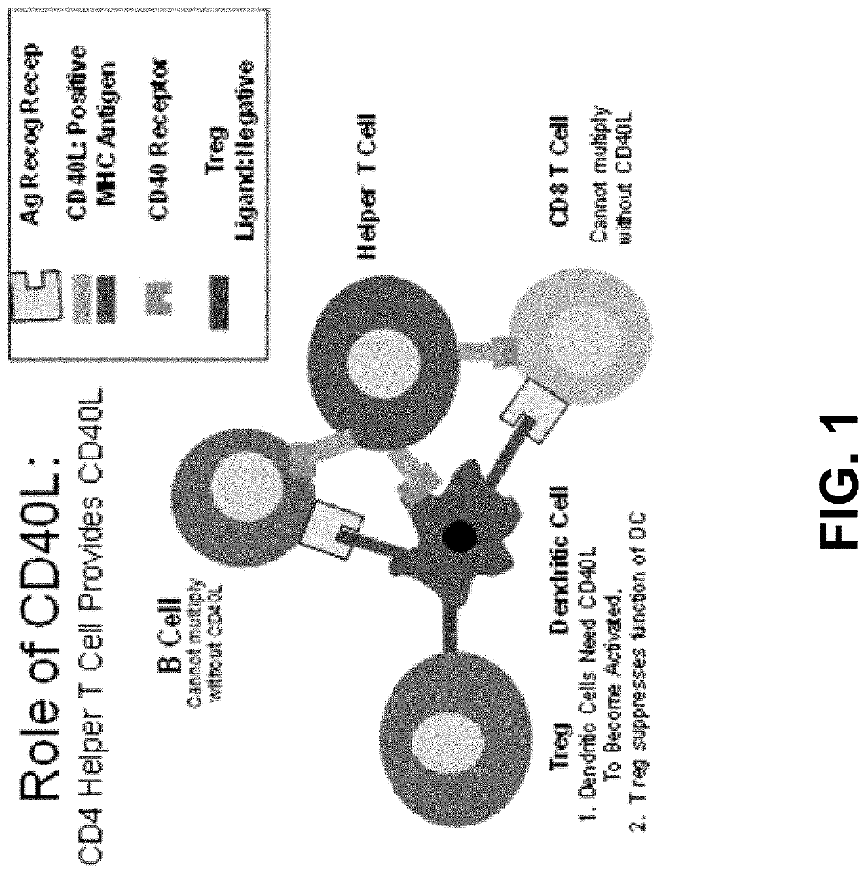 Composition and method against tuberculosis