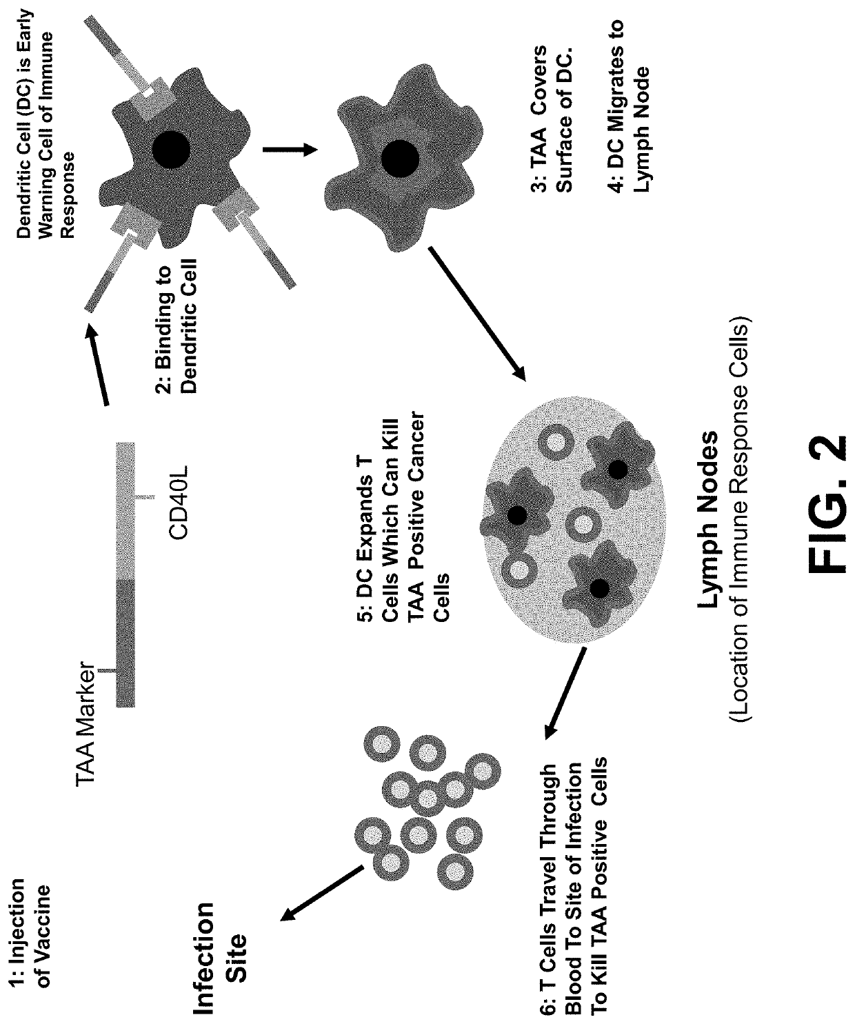 Composition and method against tuberculosis