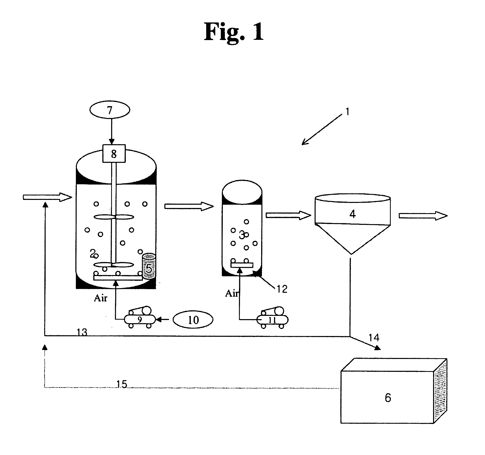 Municipal wastewater treatment apparatus and process with a continuous feed and cyclic aeration