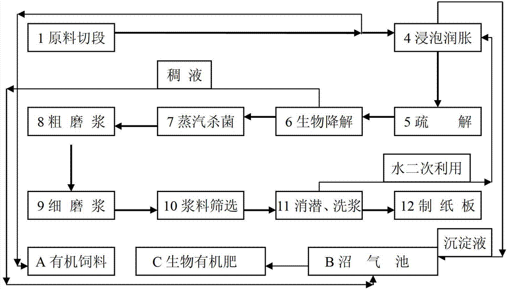 Acinetobacter lwoffii and biological bacteria liquid pulping method thereof