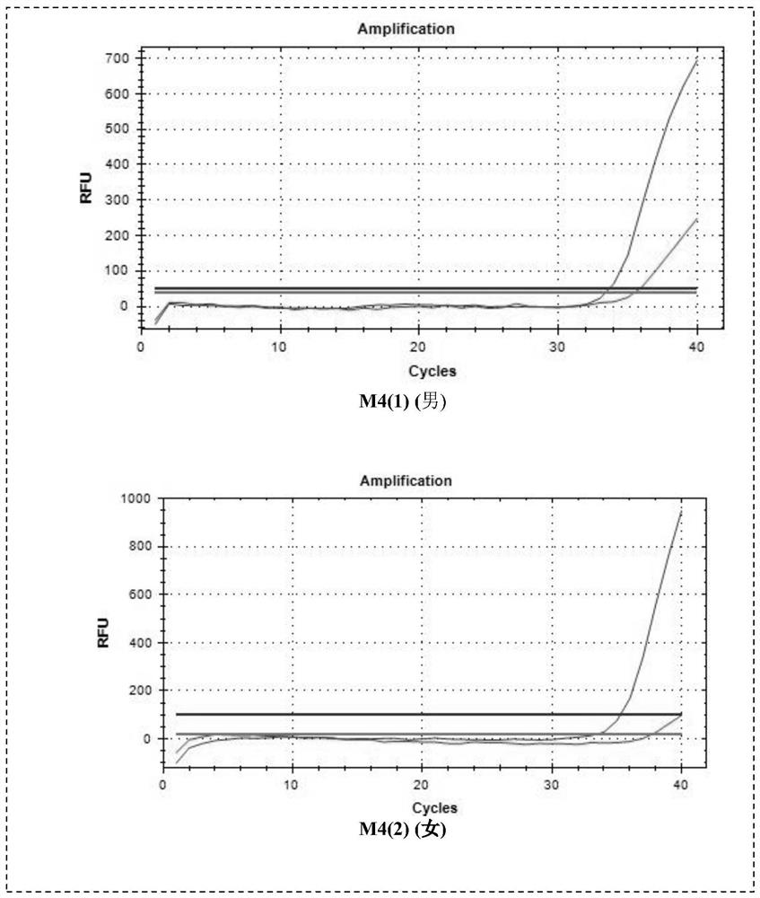 A method for sexing ancient human remains with extremely low DNA content