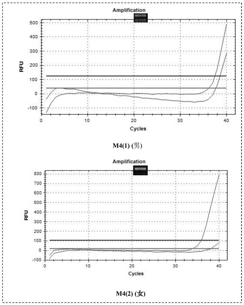 A method for sexing ancient human remains with extremely low DNA content