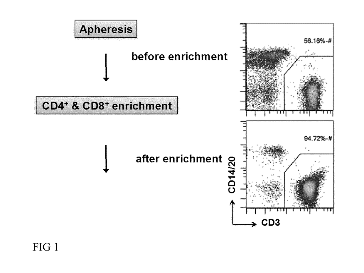 Method for automated generation of genetically modified T cells