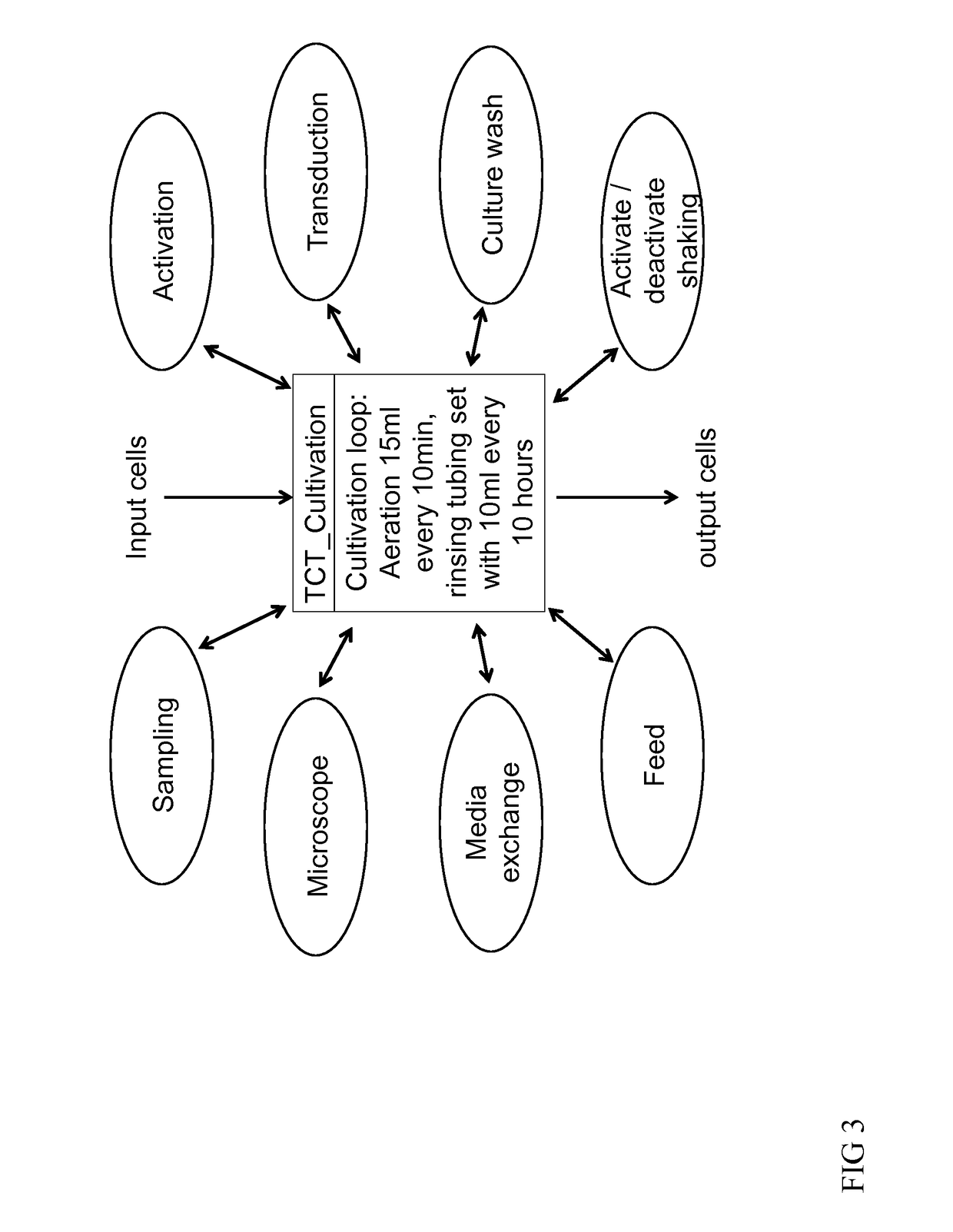 Method for automated generation of genetically modified T cells