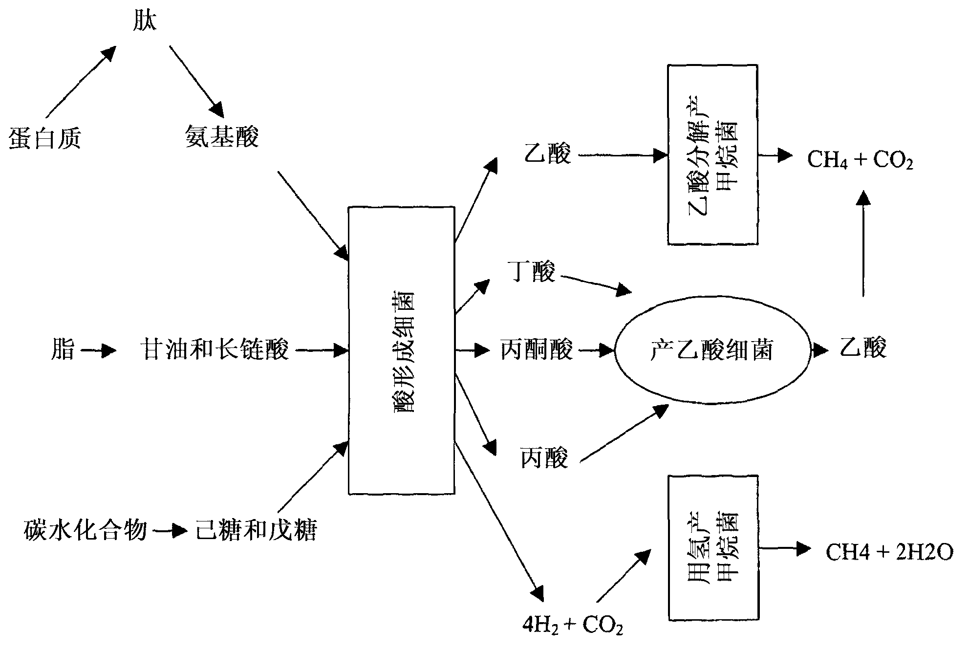 Anaerobic reactor