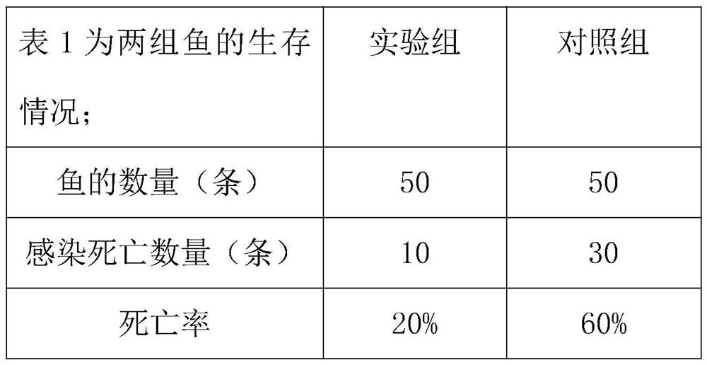 Fish feed for preventing and controlling morbidity of fries for giant salamander breeding and preparation method of fish feed