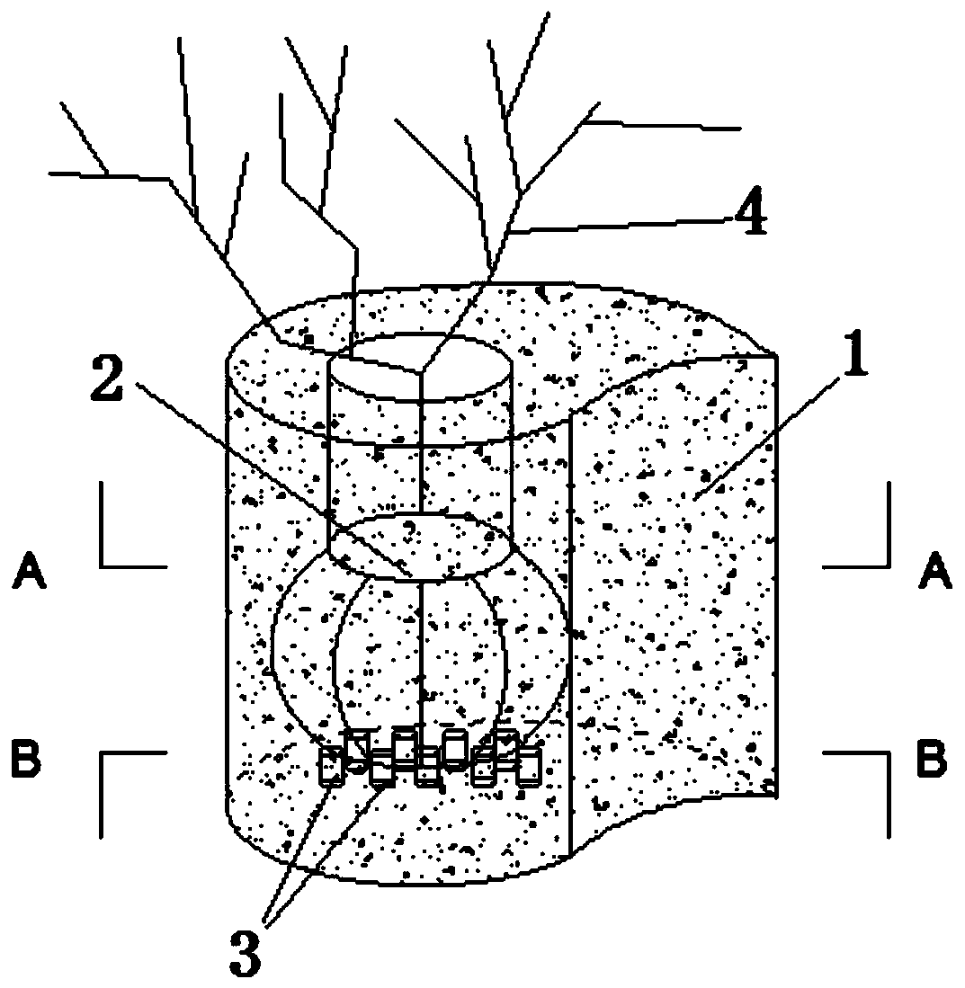 Ecological engineering product and preparation method and application thereof