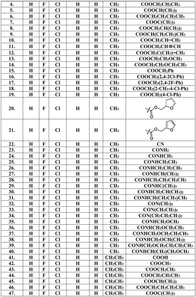 Pyridine biphenyl compound containing isoxazoline as well as preparation method and application of pyridine biphenyl compound