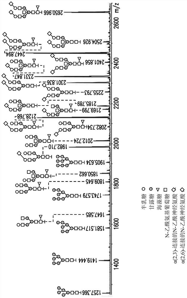 Adeno-associated virus vector pharmaceutical compositions and methods