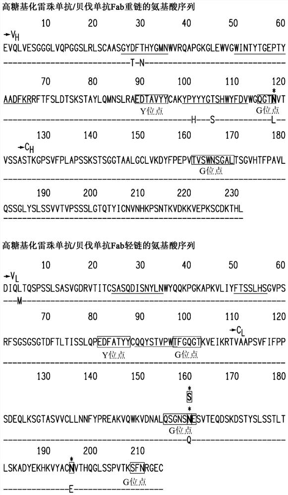 Adeno-associated virus vector pharmaceutical compositions and methods