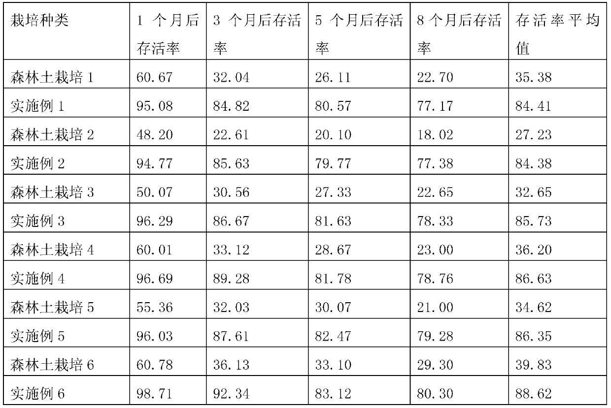 Undergrowth cultivation medium and cultivation method for anoectochilus formosanus