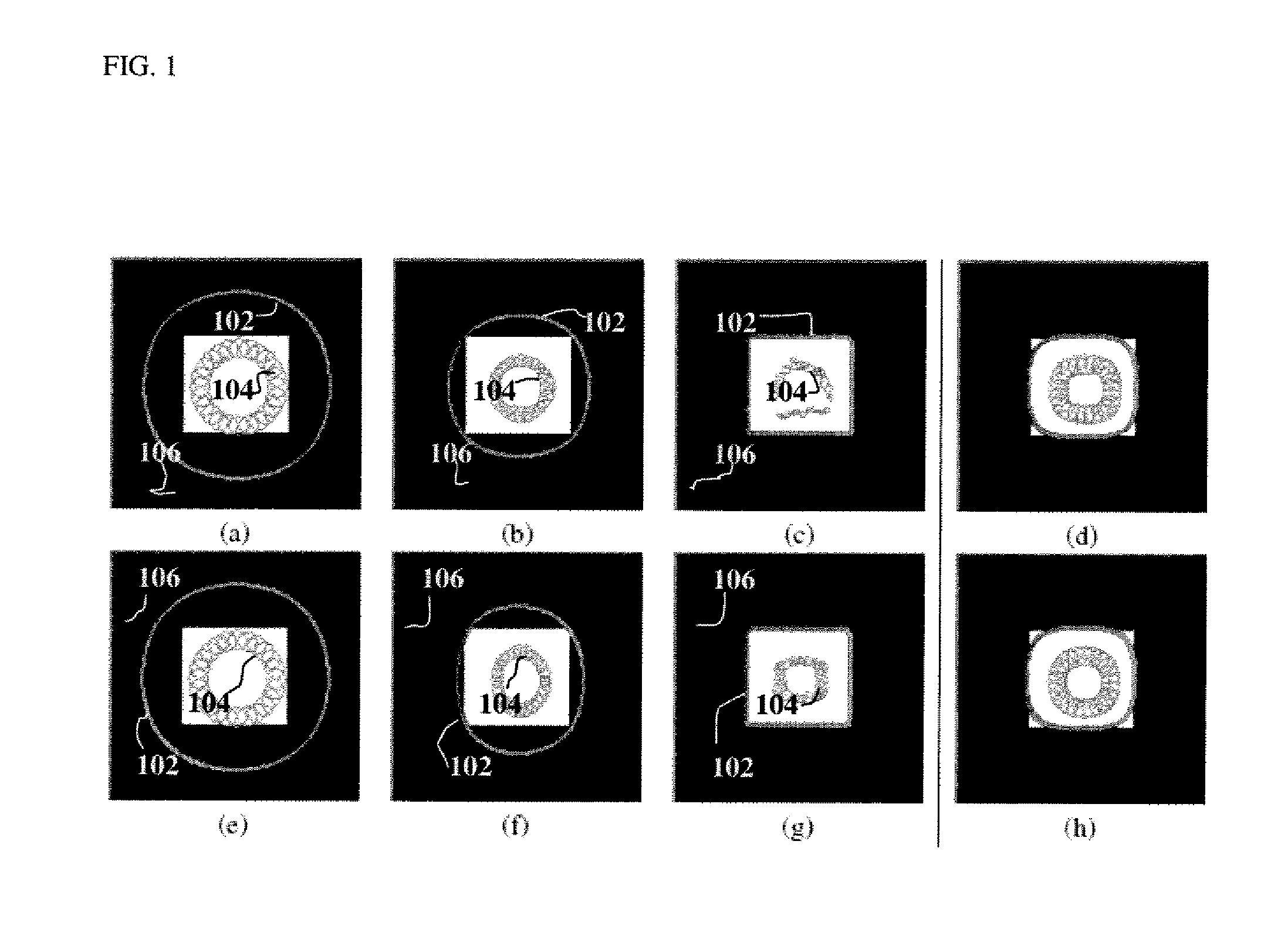 Method and System for Image Segmentation by Evolving Radial Basis functions