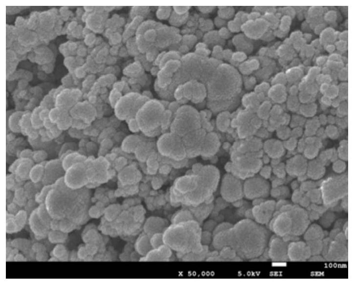 Cerium oxide modified microwave hydrothermal carbon as well as preparation method and application thereof