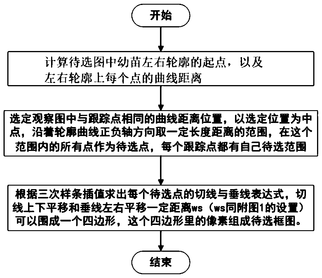 Plant growth measurement method and system based on image similarity calculation and electronic equipment