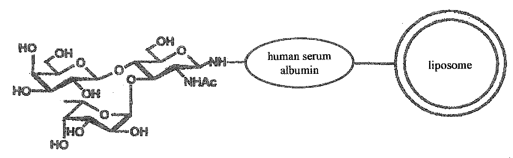 Therapeutic or Diagnostic Drug for Inflammatory Disease Comprising Targeting Liposome