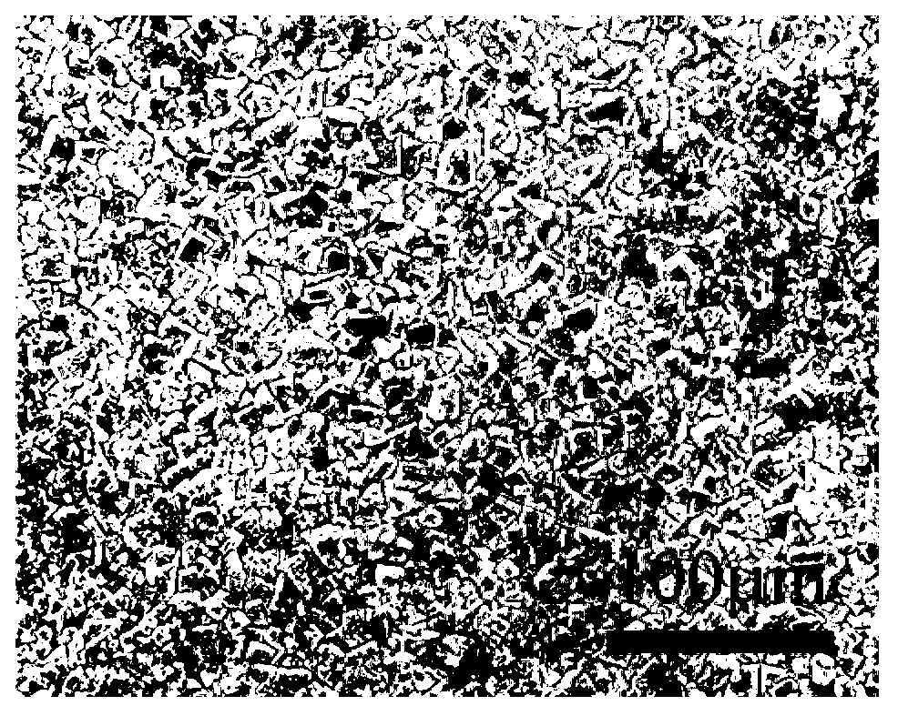 Titanium aluminum-ceramic layered material and preparation method thereof