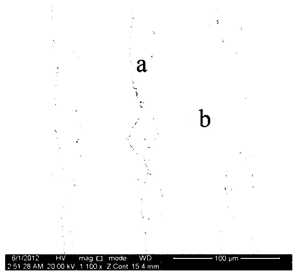 Titanium aluminum-ceramic layered material and preparation method thereof