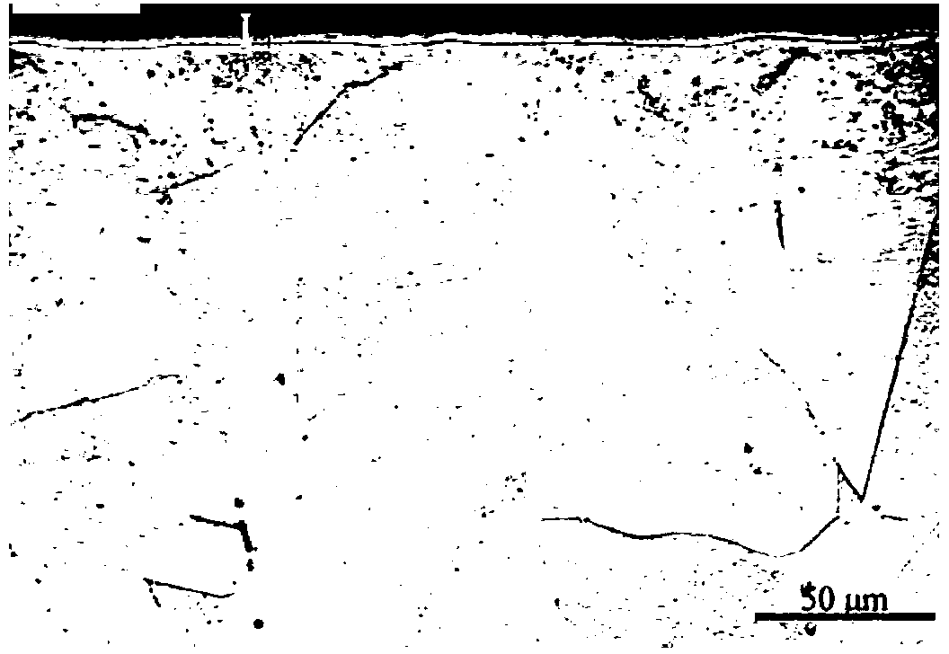 Low-temperature rapid ion nitriding method of austenitic stainless steel