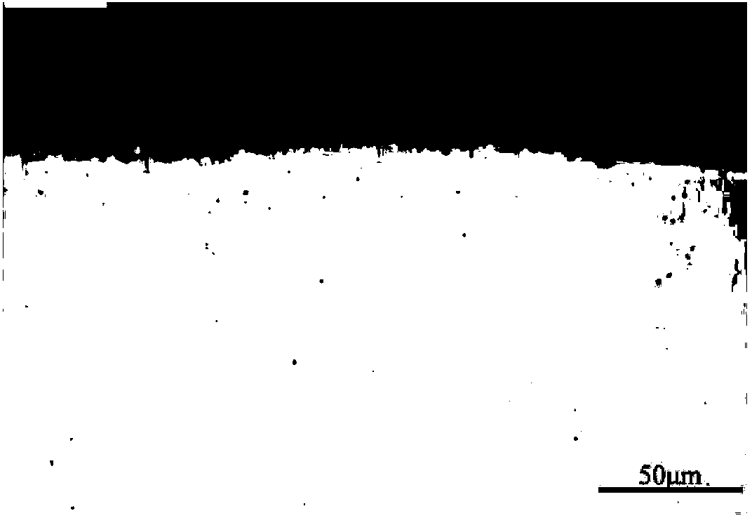 Low-temperature rapid ion nitriding method of austenitic stainless steel