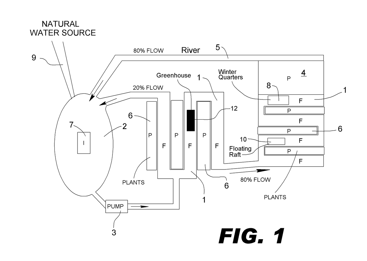 Sustainable Aquaponic System and Method for Growing Useful Plants and for Treating Gray Water