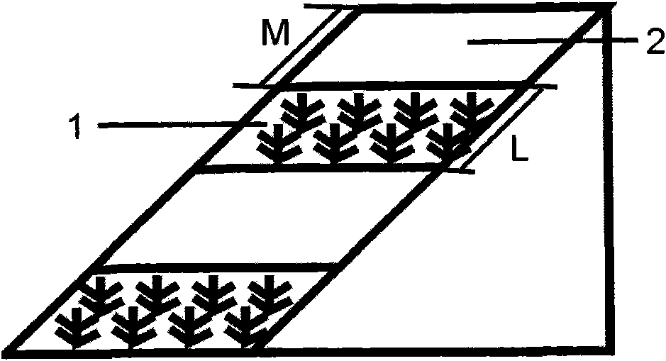 Strip greening method of arid and semi-arid lands