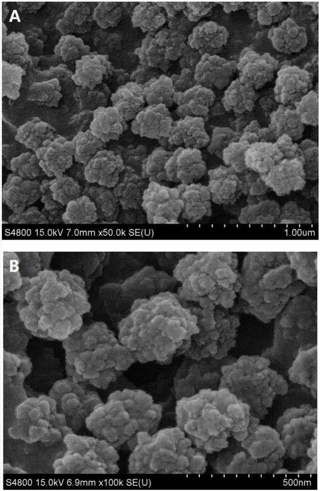 High-selectivity cauliflower-shaped lithium ion absorbent, and preparation method and application