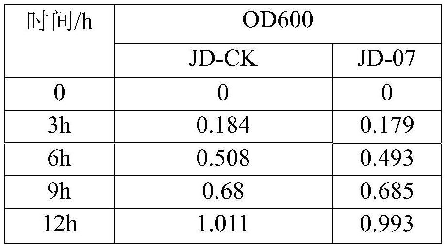 Glyphosate-resistant Paenibacillus colioids jd-07, bacterial agent and application