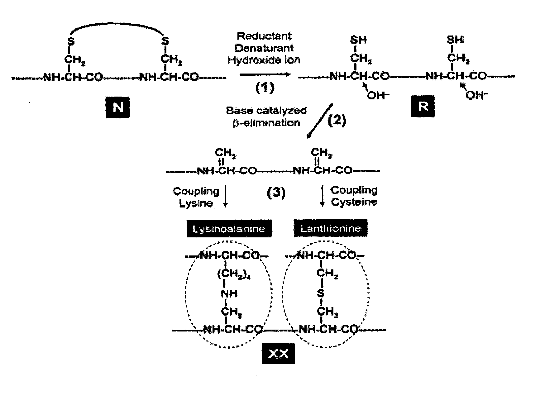 Methods and compositions for rapid inactivation of proteins