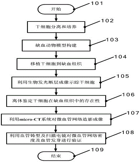 Multimodal molecular imaging monitoring method for ischemia model