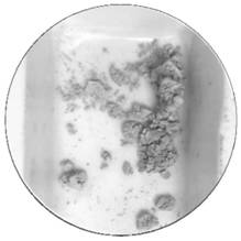 Modified polymer adsorbent for selectively adsorbing and recycling precious metal ions and preparation method ofmodified polymer adsorbent