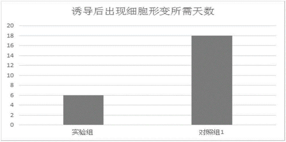 Fibroblast culture medium and preparation method thereof