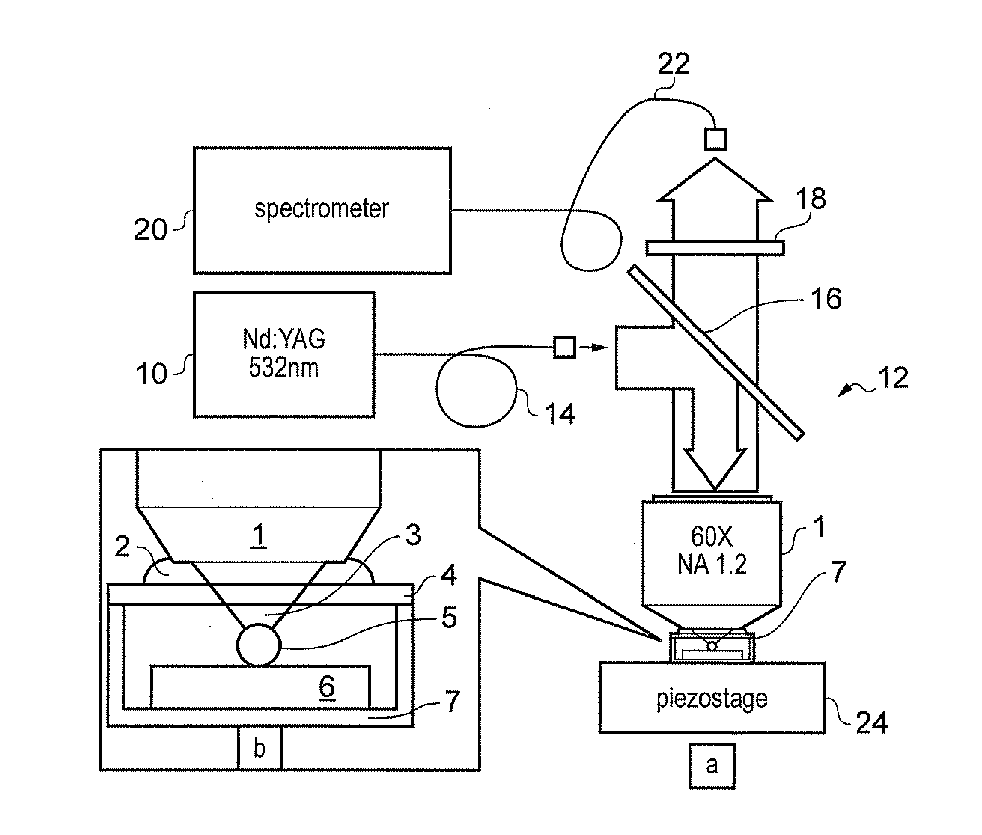 Near-field Raman spectroscopy