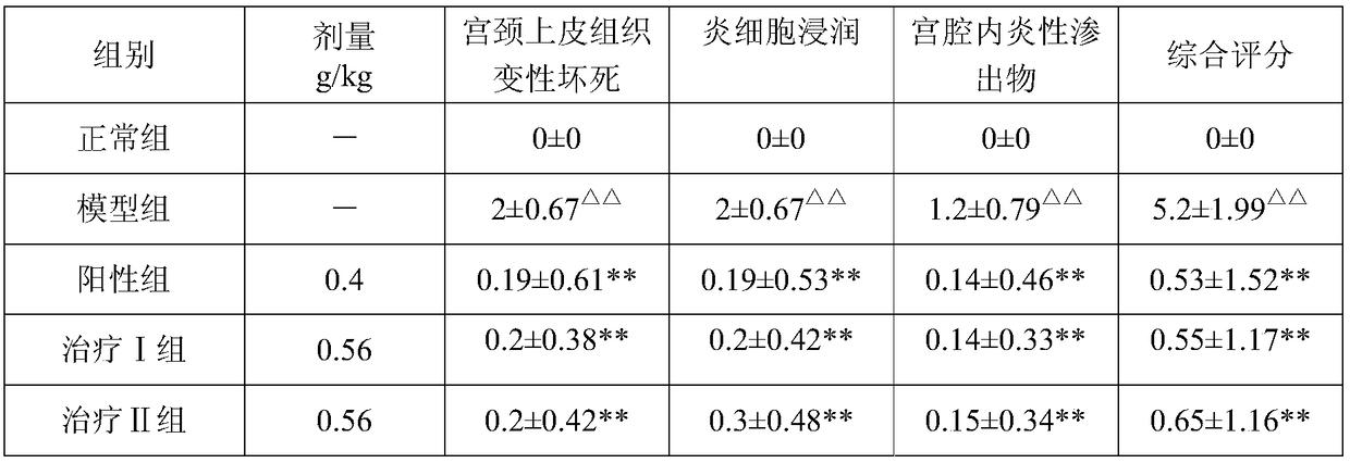 A kind of pharmaceutical composition for treating cervicitis and its preparation method and application