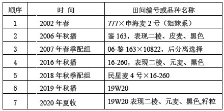 Breeding method of hybrid black naked barley