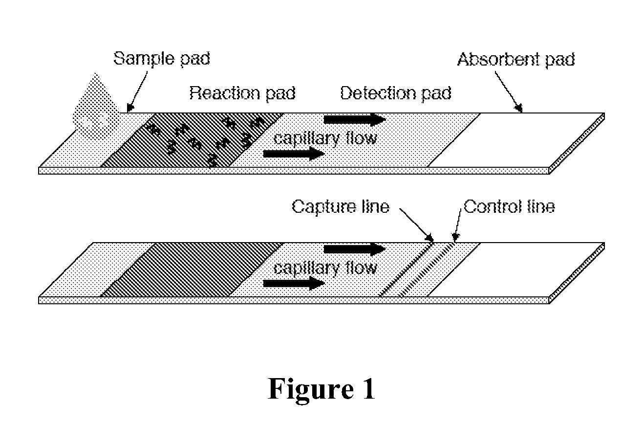 Analyte detection using autocatalytic chain reactions