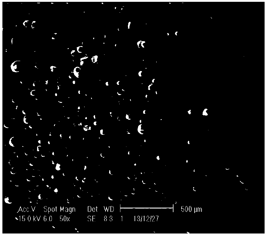 Supported metallocene catalyst, preparation method and application thereof and methyl acrylate preparation method