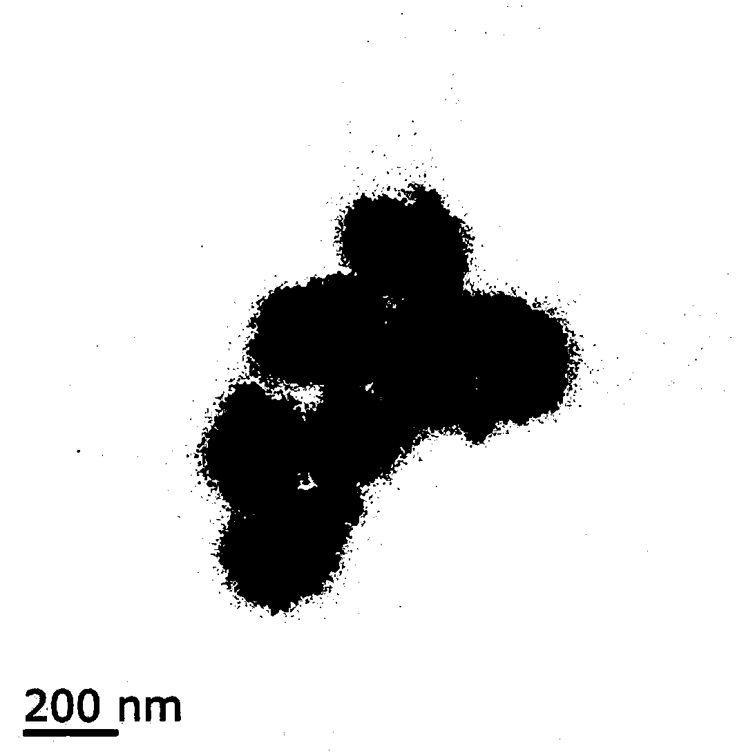 Vitamin B2 modified IONzyme, and preparation method and application thereof