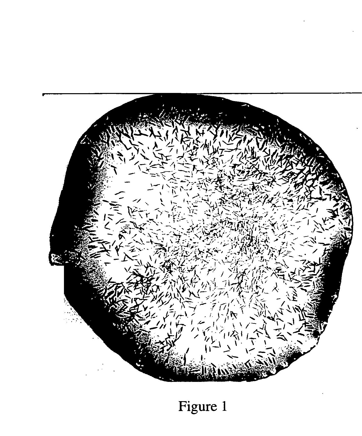 Compositions and kits including dehydrated stinging capsules and methods of producing and using same