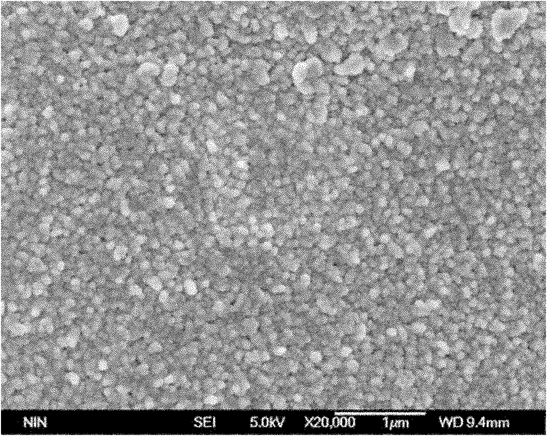 Method for preparing anti-oxidation Nb coating on surface of carbon material