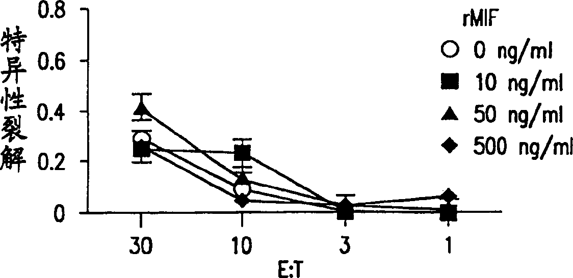 Regulation of the cytotoxic lymphocyte response by macrophage migration inhibitory factor