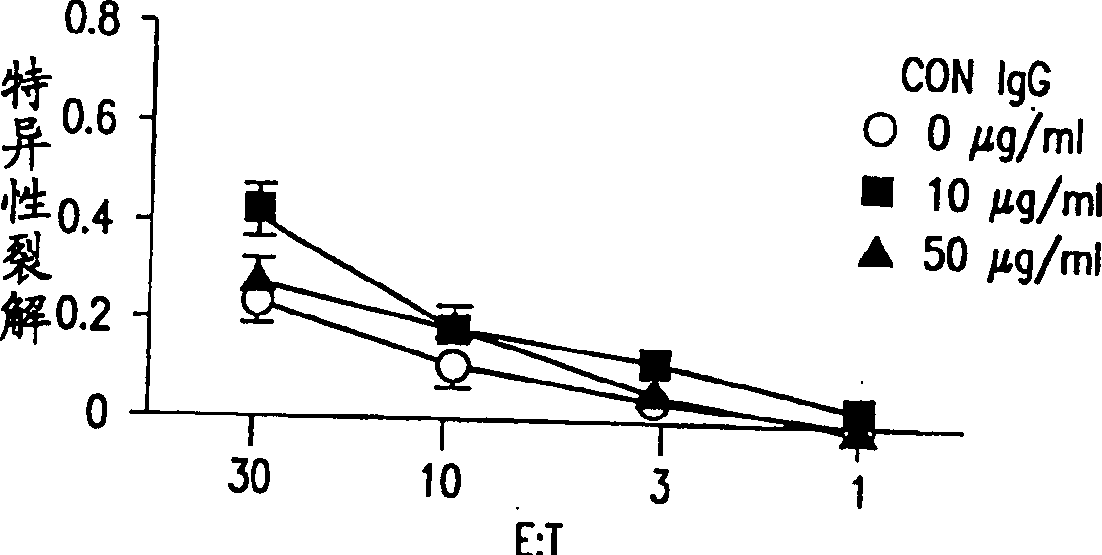 Regulation of the cytotoxic lymphocyte response by macrophage migration inhibitory factor