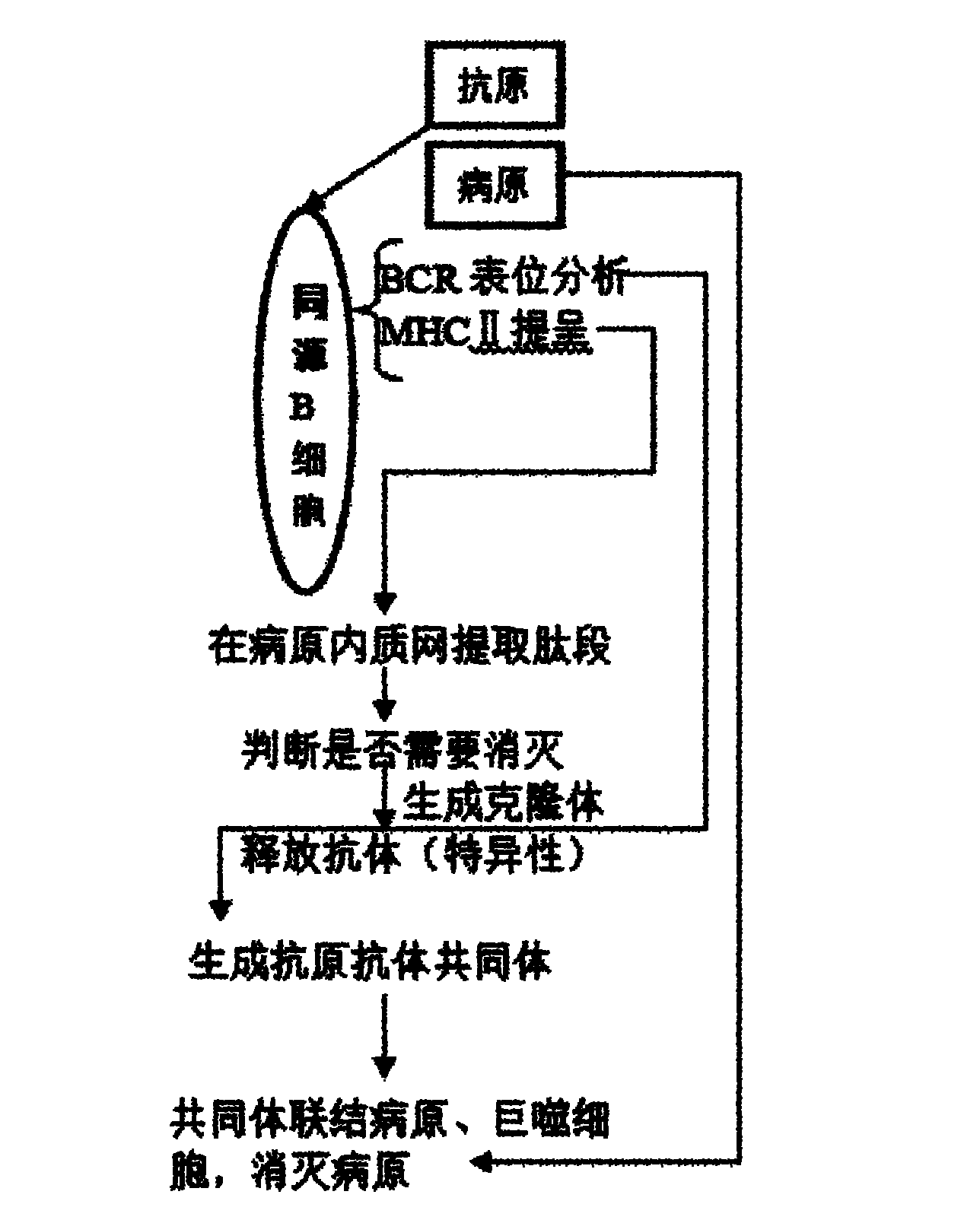 Automatic protection method for computer virus